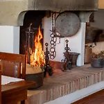 Il Fico E La Civetta *