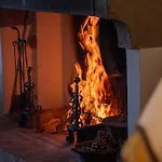 Il Fico E La Civetta *