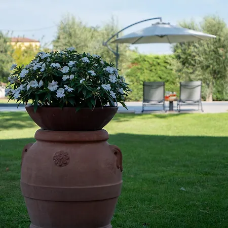 Villa Il Fico E La Civetta *
